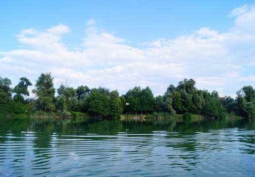 DSC07388