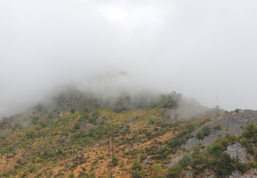 IMG 4584