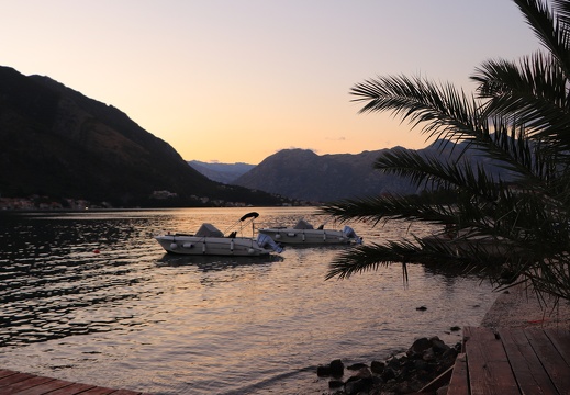 IMG 4637