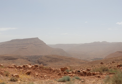 IMG 6494
