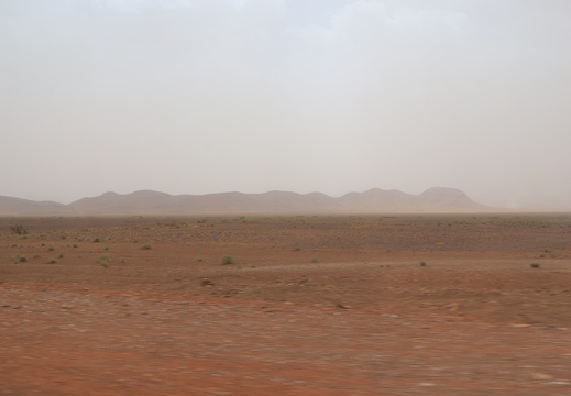 IMG 6333