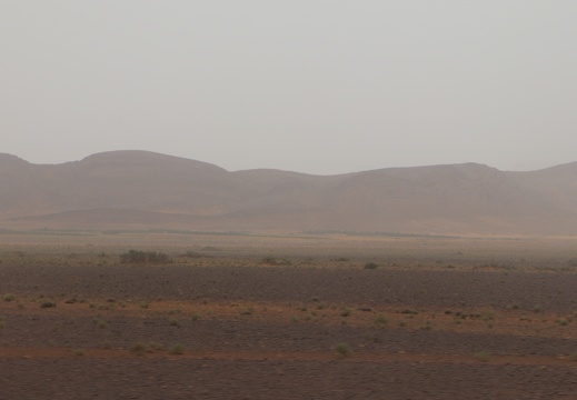 IMG 6338