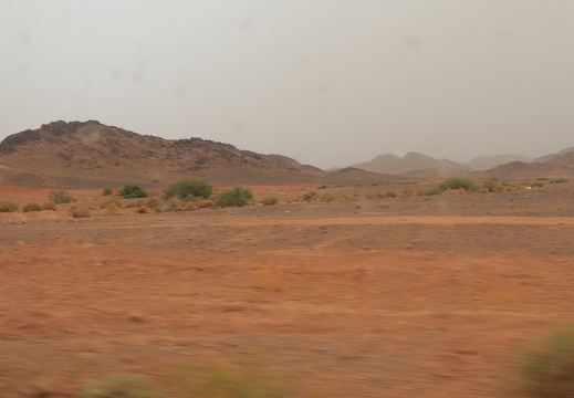 IMG 6340