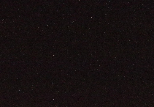 IMG 6417