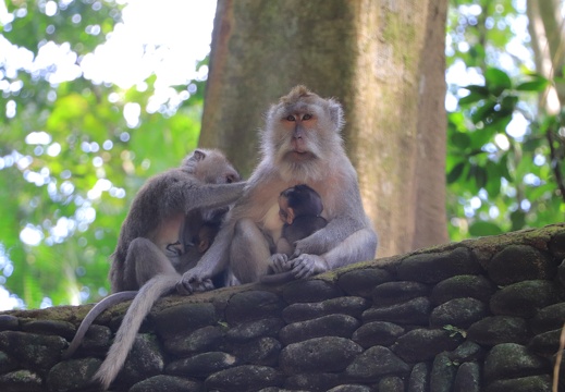 Indonesia