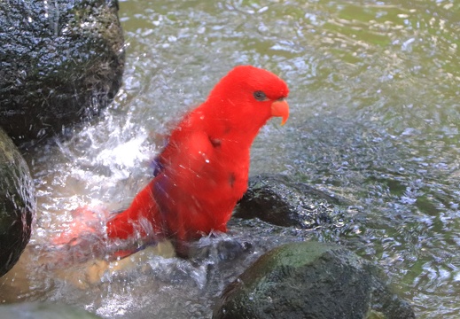 IMG 7059