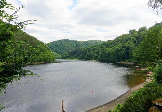 DSC02101