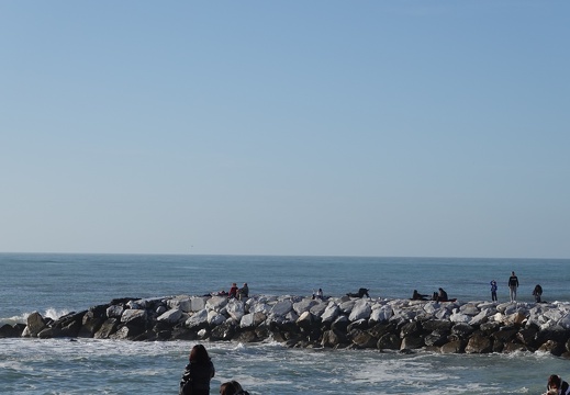 DSC00501