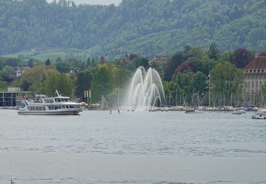 DSC01971