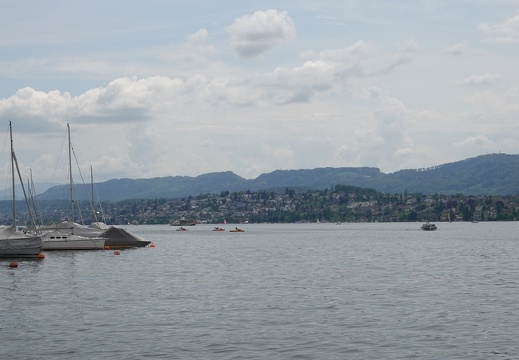 DSC01979