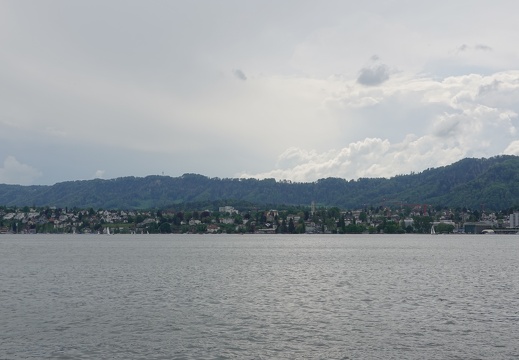 DSC01993