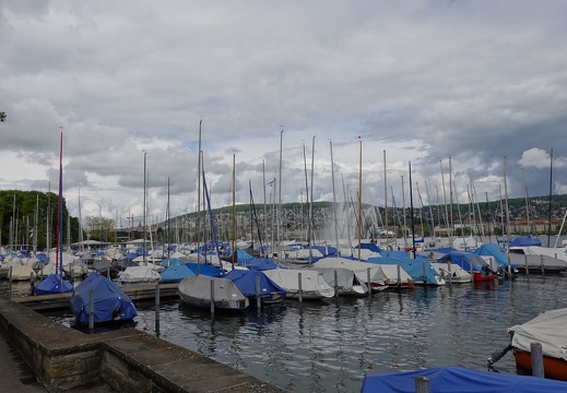 DSC02040