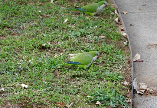 DSC02880