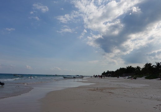 DSC02319