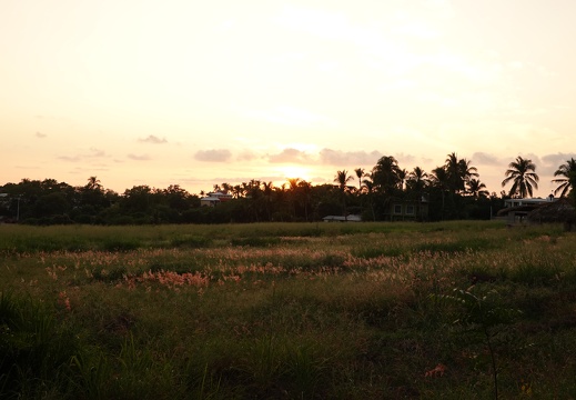 DSC02781