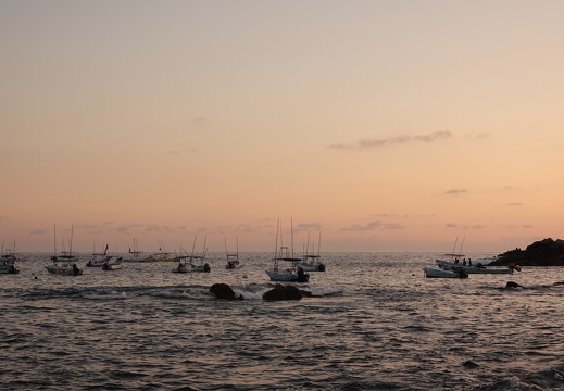 DSC02784