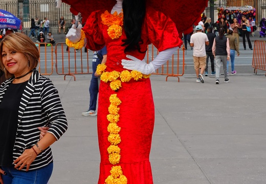 DSC02509