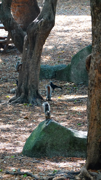 DSC02637.JPG