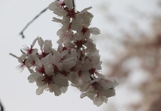 IMG 7166