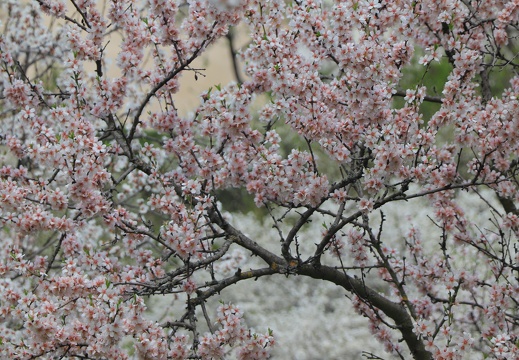 IMG 7176