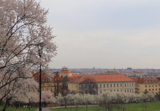 IMG 7179