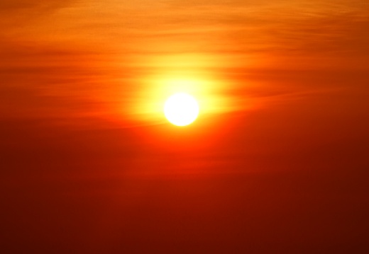 DSC03680