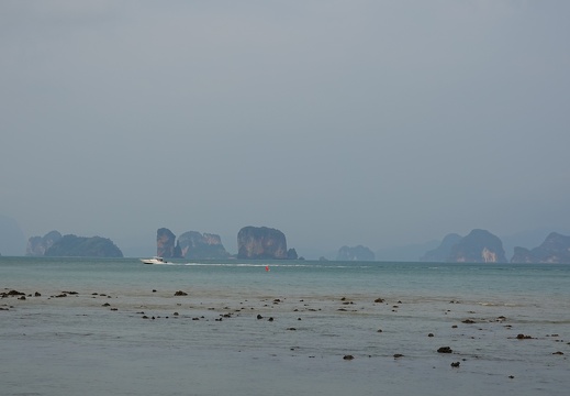 DSC03959