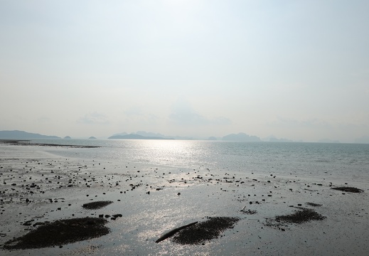 DSC04002