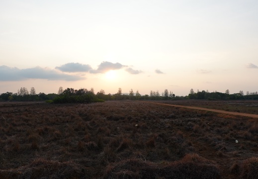 DSC04035