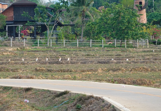 DSC04036