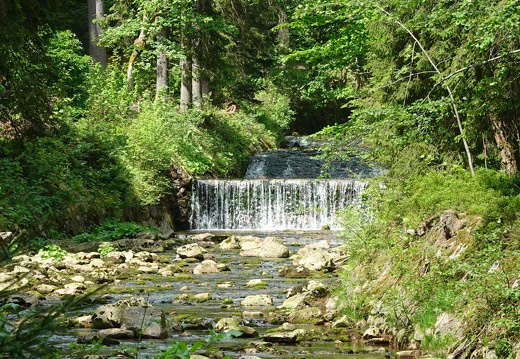 DSC04538
