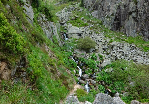 DSC04571