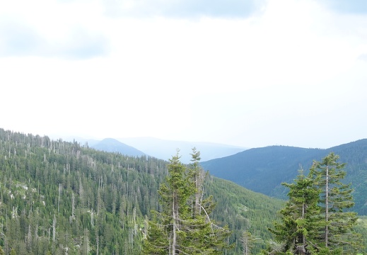DSC04589