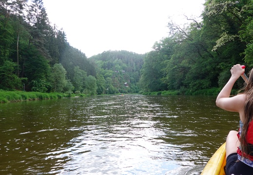 DSC04321