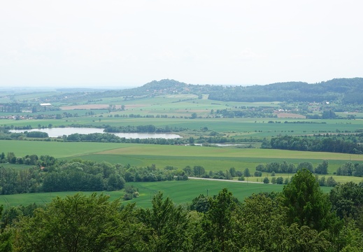 DSC04459