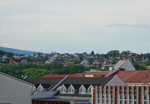DSC04520