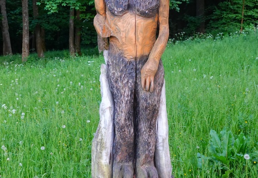 DSC04530