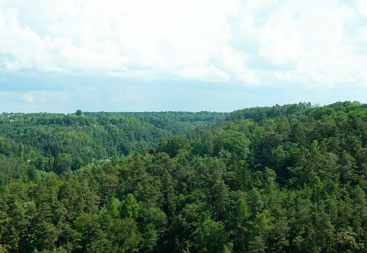DSC04393