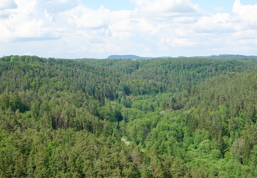 DSC04397