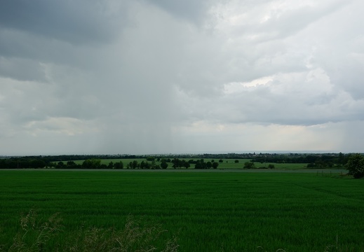DSC04403