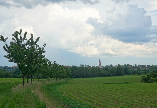 DSC04407