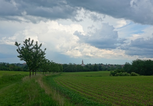 DSC04411