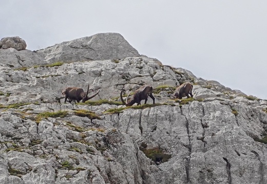 Dolomites (Alta Via 1)