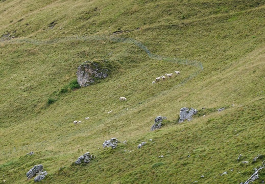 DSC05338