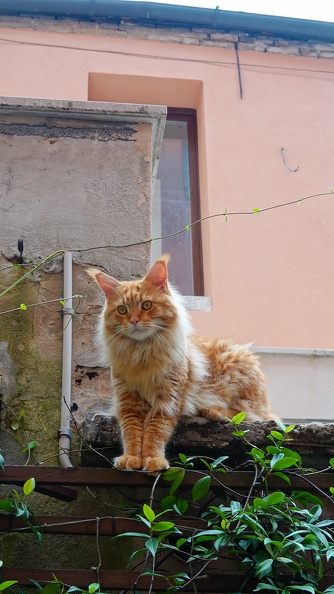 DSC05454.JPG