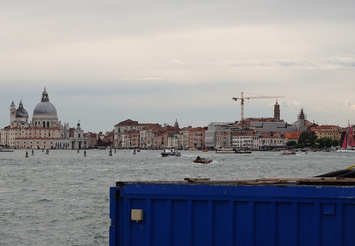 DSC05517