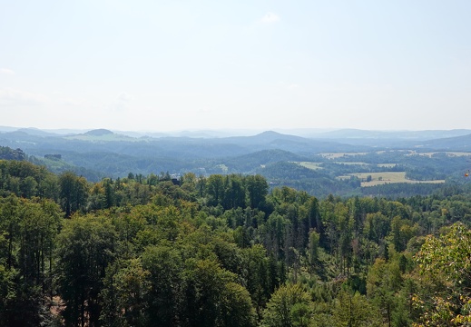 DSC04641