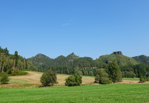 DSC04655