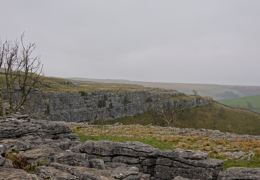 DSC05699