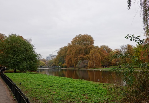 DSC05911